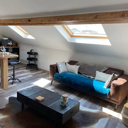 Apartment A La Tete De Cheval *